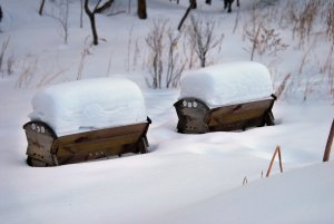 Winter snow build-up can make it difficult for your bees to leave the hive.