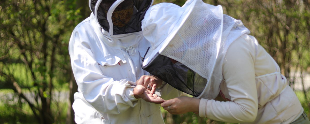 Connect with Local Beekeepers to Become a Better Beekeeper Yourself