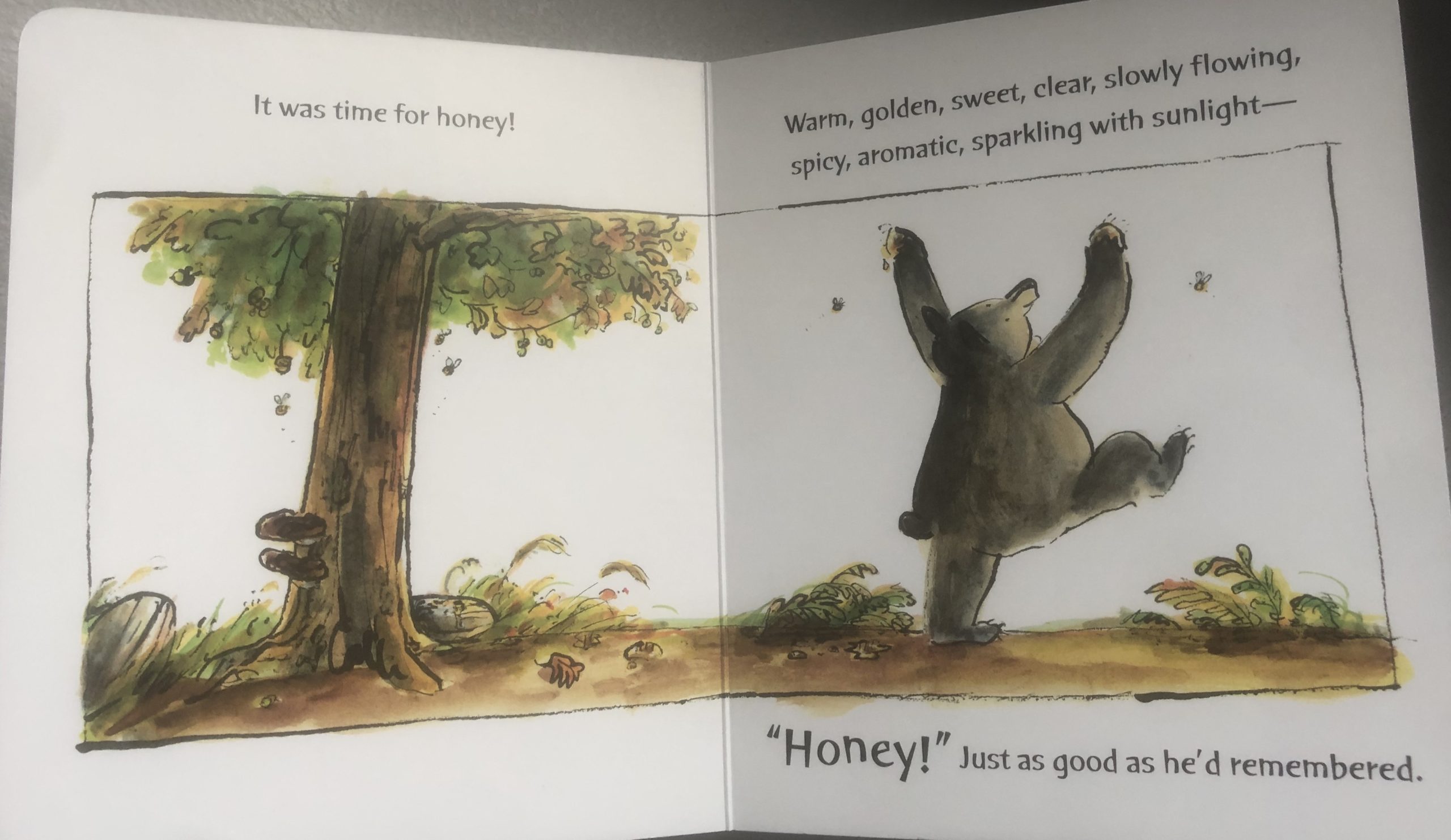 Learning about bees through my toddler's eyes with the book "Honey" by David Ezra Stein.