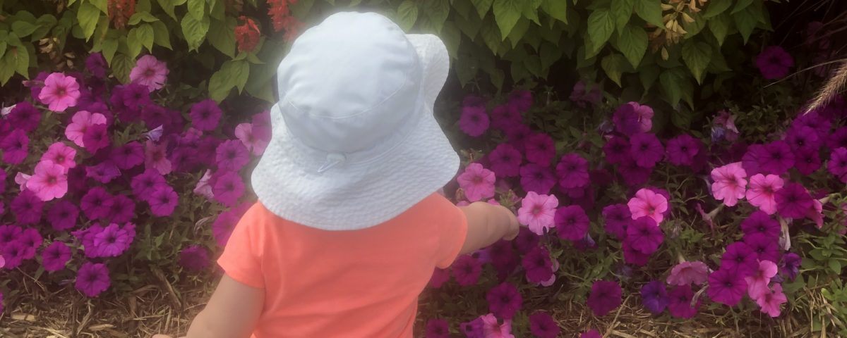 Exploring nature and learning about bees with my toddler