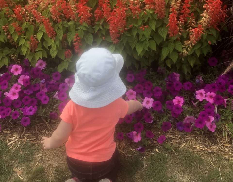 Exploring nature and learning about bees with my toddler