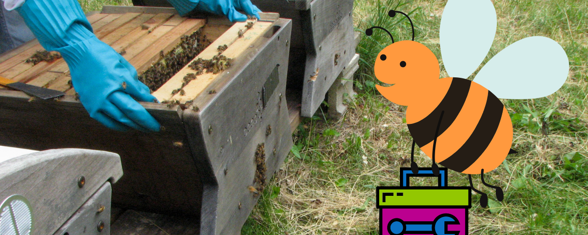 How the Right Beekeeping Equipment Makes Inspections Better for Beekeepers and Bees