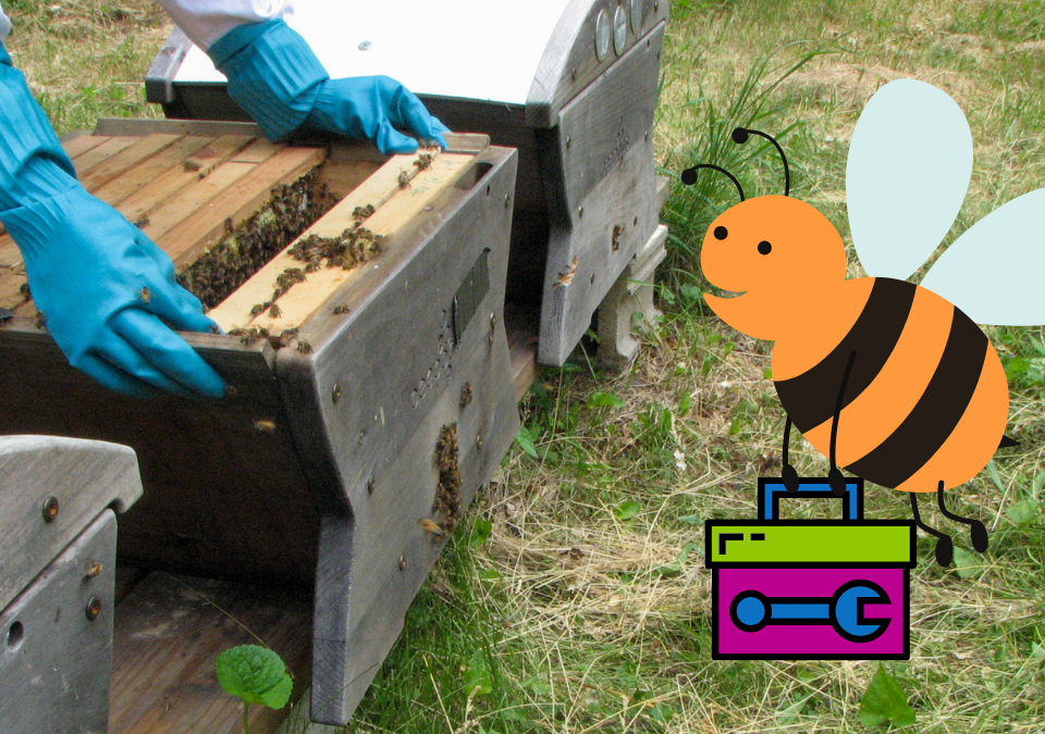 How the Right Beekeeping Equipment Makes Inspections Better for Beekeepers and Bees