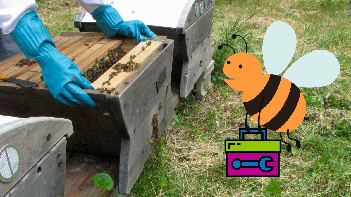 How the Right Beekeeping Equipment Makes Inspections Better for Beekeepers and Bees