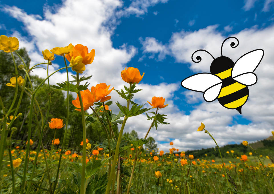 Bees are important to our environment.