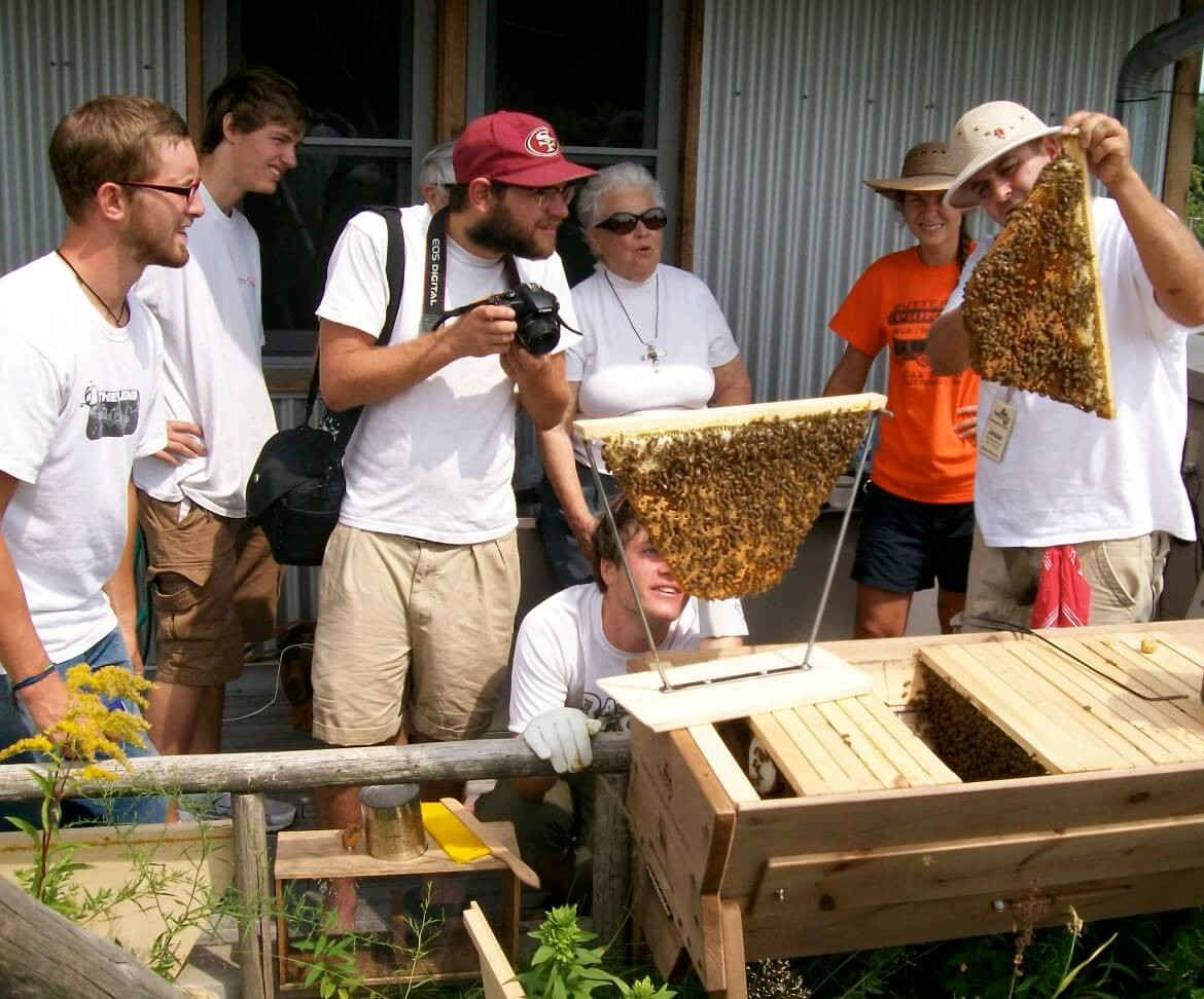 top bar beekeeping
