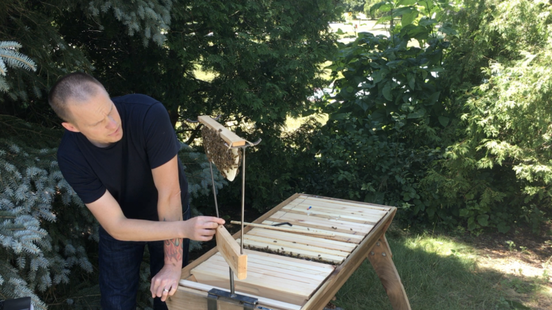 beepods top bar hive-side inspection stand mounting