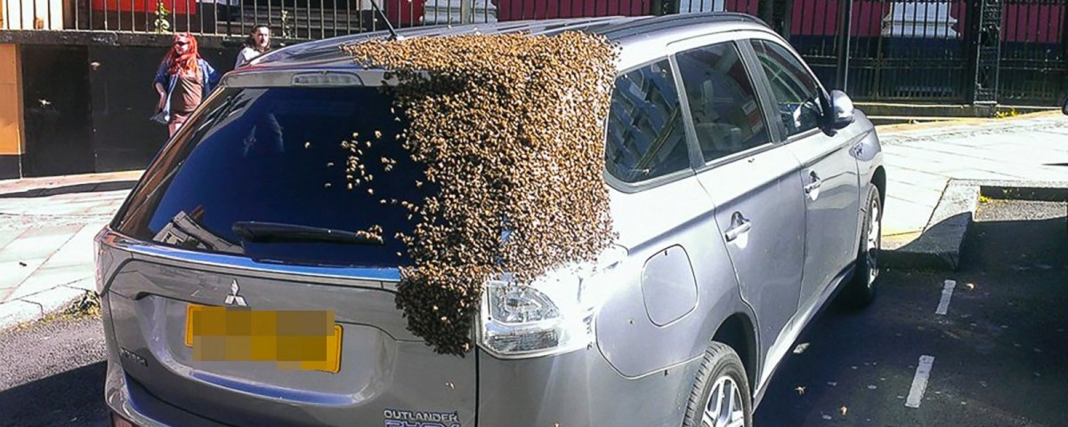 Bee Swarm Mistubishi