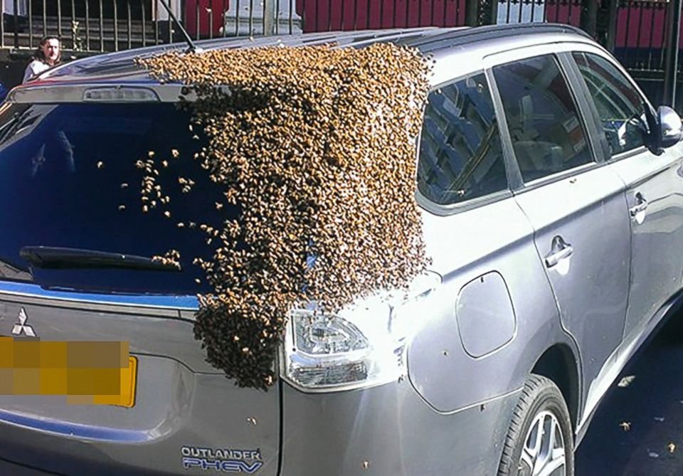 Bee Swarm Mistubishi