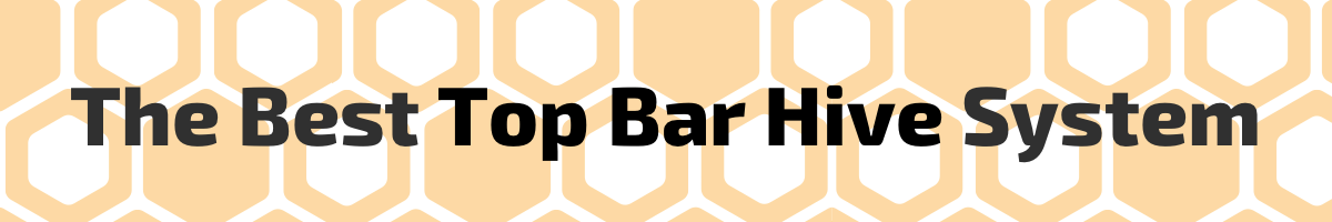 best top bar hive
