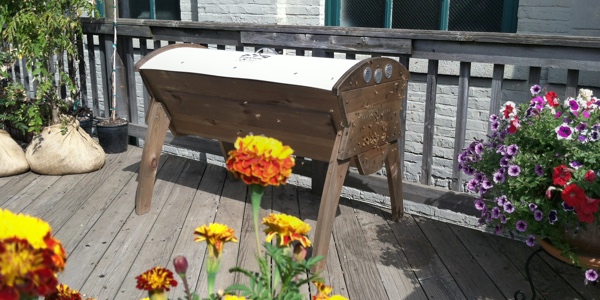 Beepod Top Bar Hive on a Deck