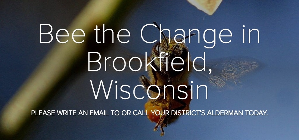 Bee the Change in Brookfield WI