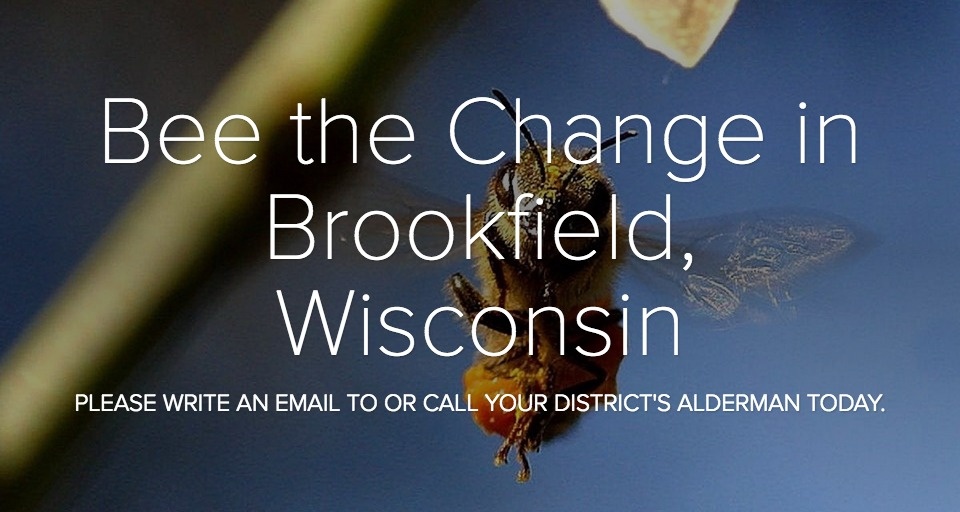 Bee the Change in Brookfield WI