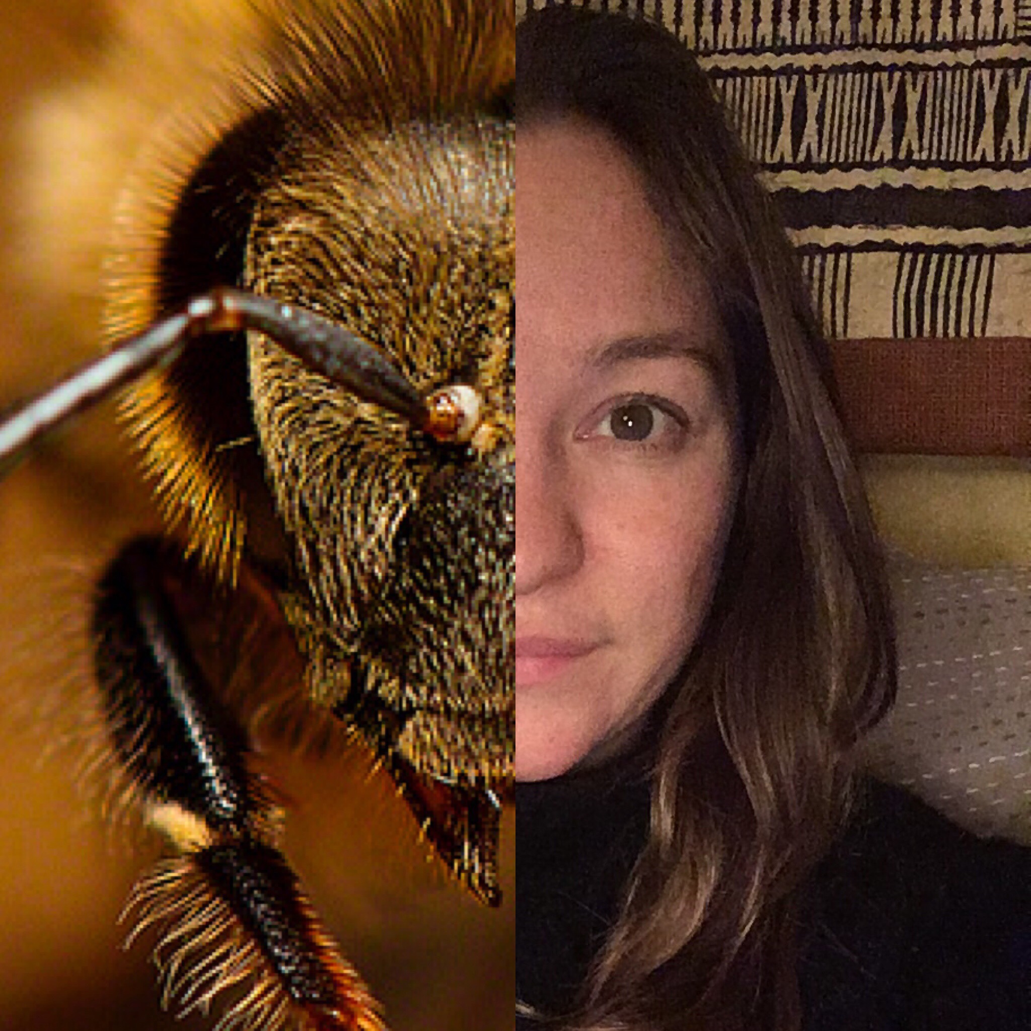 Bee Laura Maigatter Facial Recognition