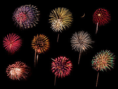 Fireworks that look like flowers