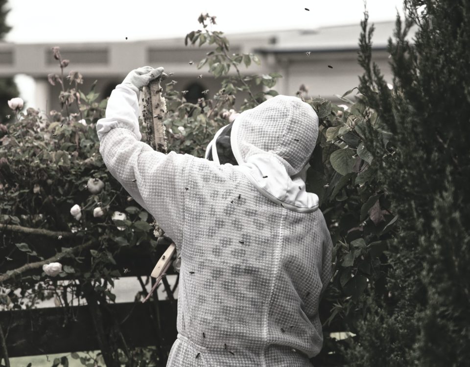 treatment-free beekepers