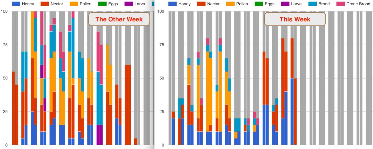 healthy hive data graph chart top bar comb contents