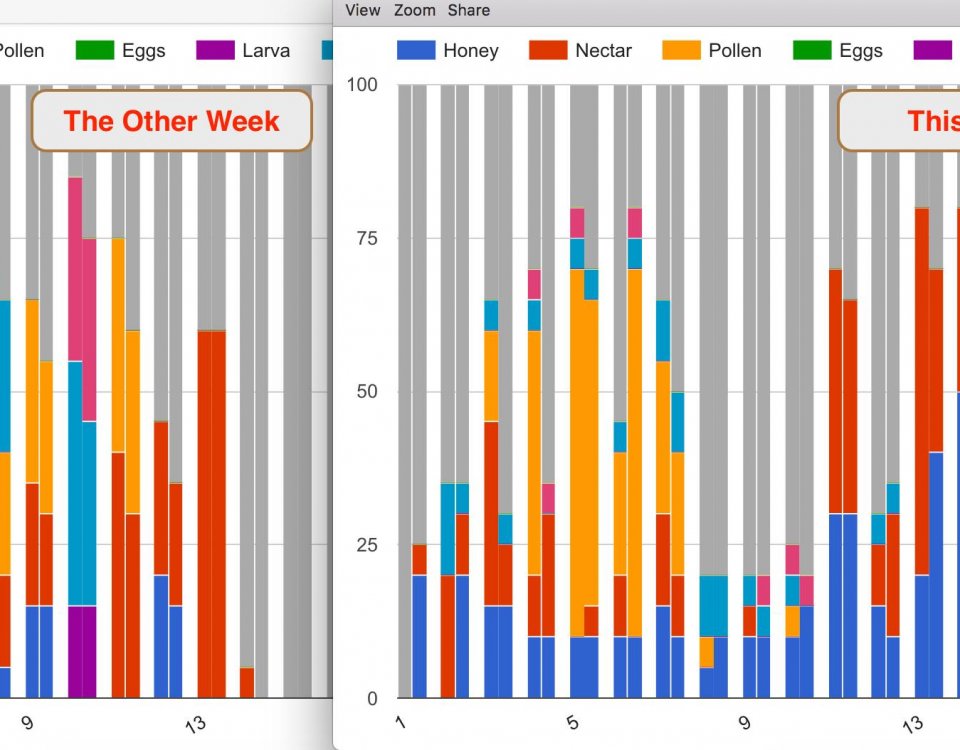 healthy hive data graph chart top bar comb contents