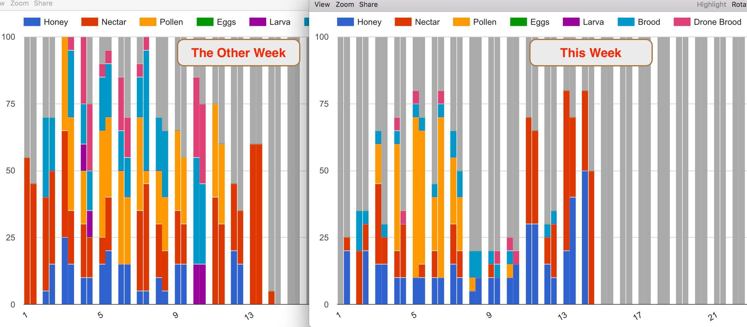 Why we keep Hive Inspection Notes and Data (AND WHY YOU SHOULD, TOO!)