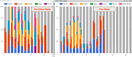 beekeeping at school data graph