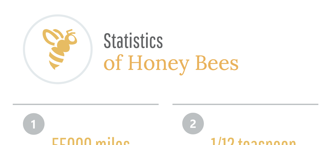 honet bee stats 2017