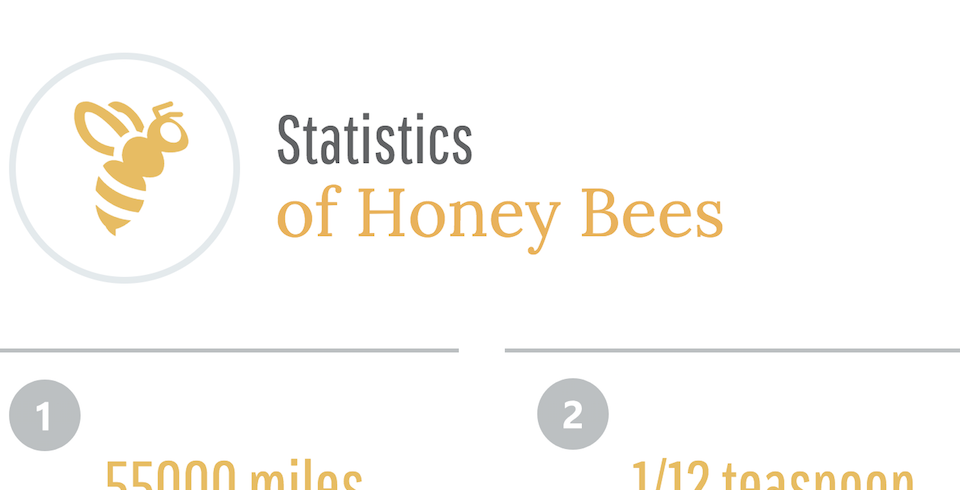 honet bee stats 2017