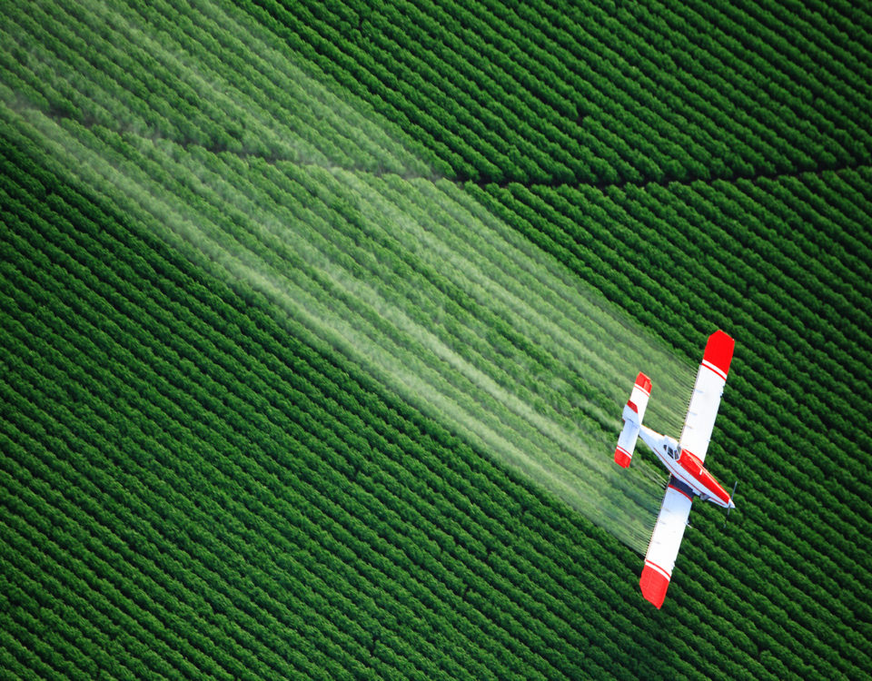 aerial view of a crop duster or aerial applicator, flying low, and spraying agricultural chemicals, over lush green potato fields in Idaho.