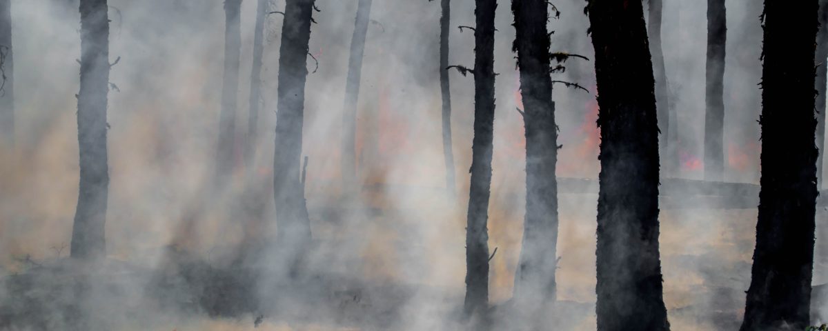 Wildfires