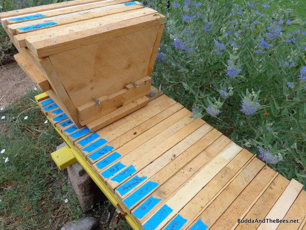 Top Bar Hive Inspection Notes Recording Your BarbyBar Observations