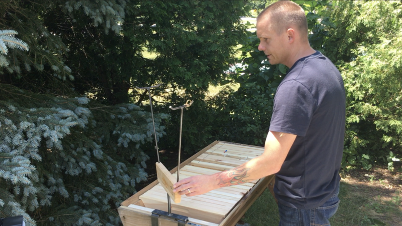 stand for inspecting top bar hive comb